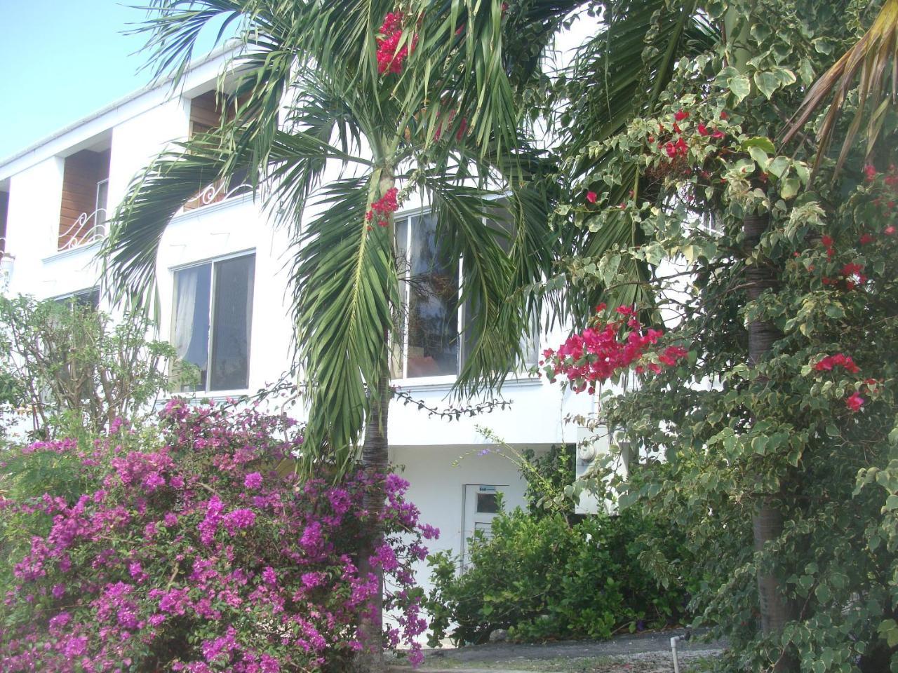 Coral Lane Beach Apartments セントジェームス エクステリア 写真